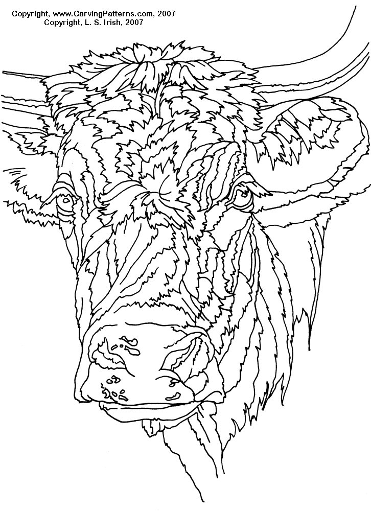 cow pattern animal fur textures pyrography basics