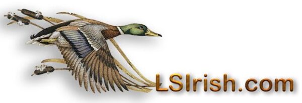 LSIrish.com