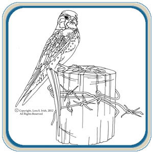 Birds of Prey Wood Carving Patterns