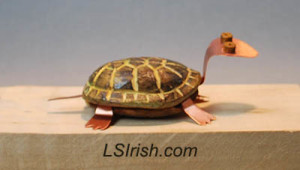 box turtle wood carving